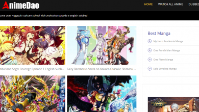 AnimeDao
