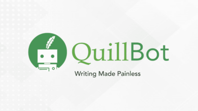 Quillbot Summary