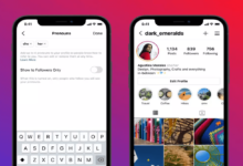 instagram profile views