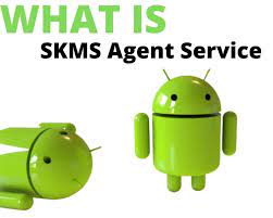 skmsagentservice